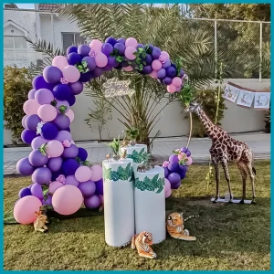 Elegant Balloon Garland for Birthday Package 6